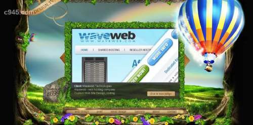 Custom Web Site Design 高质感创意设计