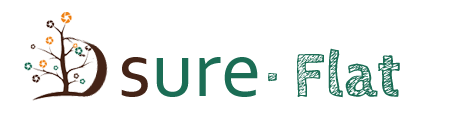 Dsure|HTML5网站,前端开发扁平化框架