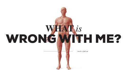 The Killing of a Sacred Deer - 基于WebGL的交互体验酷站