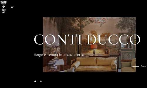 Conti Ducco 意大利葡萄酒互动电子商务创意网站