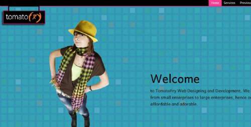 TomatoFry Website Designing and Development