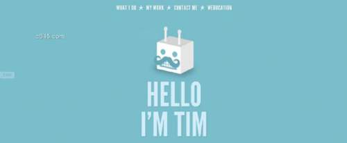 Tim Potter, Belfast Freelance Web Designer 设计师官网