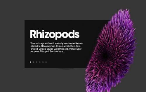 rhizopods 3D设计