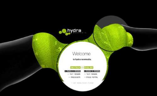 hydra newmedia 优秀设计师个人网站