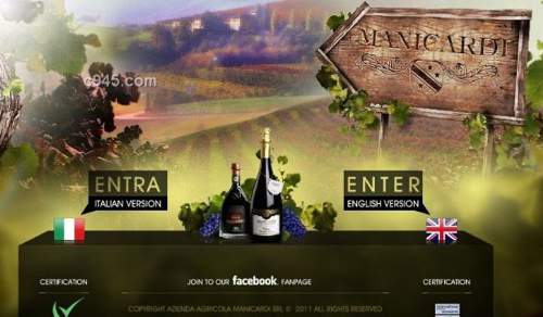 vinegar 漂亮高贵的的葡萄酒官方网站