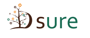 Dsure|HTML5网站,前端开发扁平化框架